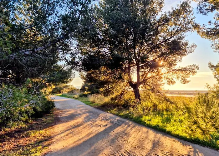 50 M2 - Le Port, Hyeres