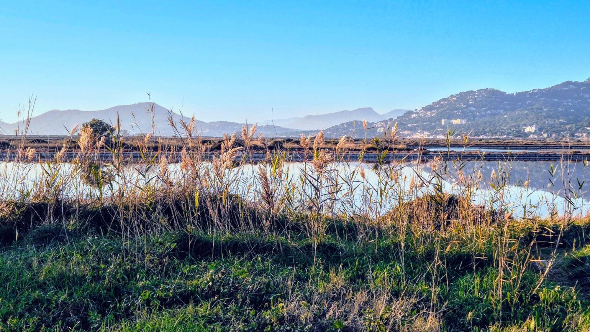50 M2 - Le Port,